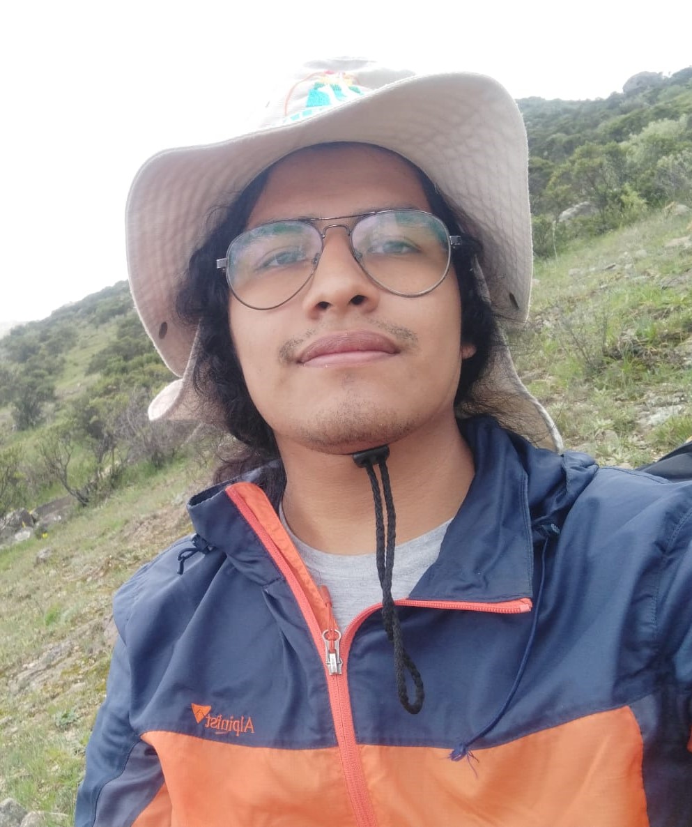 Picture